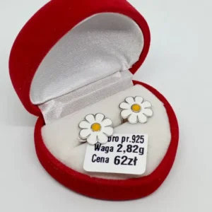 image (1)